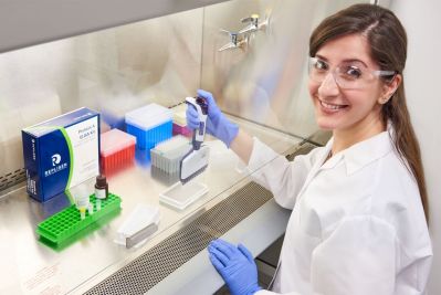 photo of a scientist running the ELISA assay kit in a lab hood.